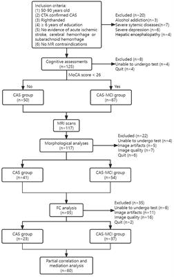 Alterations in brain morphology and functional connectivity mediate cognitive decline in carotid atherosclerotic stenosis